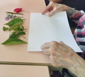 nos-actualites